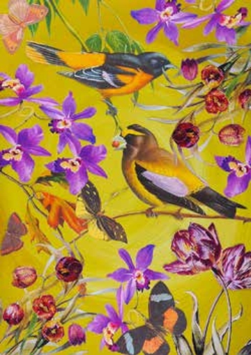 Diana Wilson Card - Autumn Birds