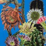 Arcana Card - Biig Blue Cactus