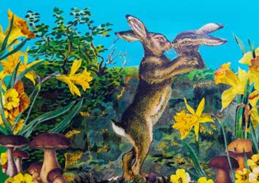 Arcana Card - Hares