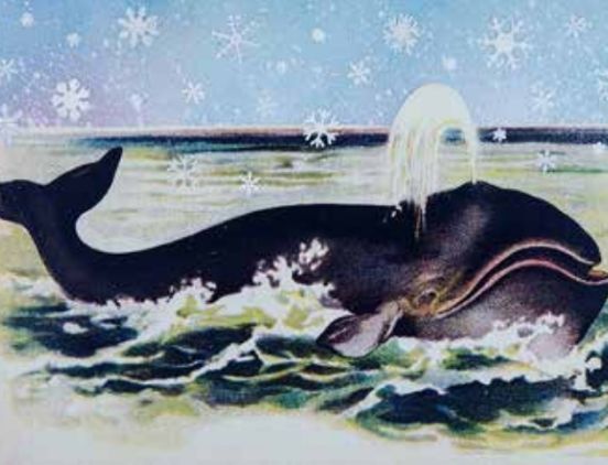 Arcana Card - Winter Whales