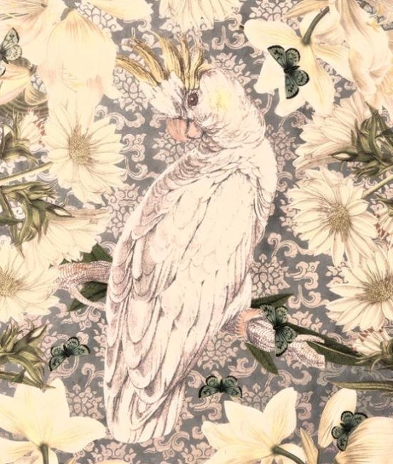 Arcana Shawl - Cockatoo