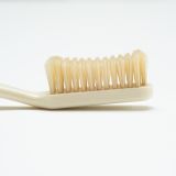 Captain Fawcett toothbrush head