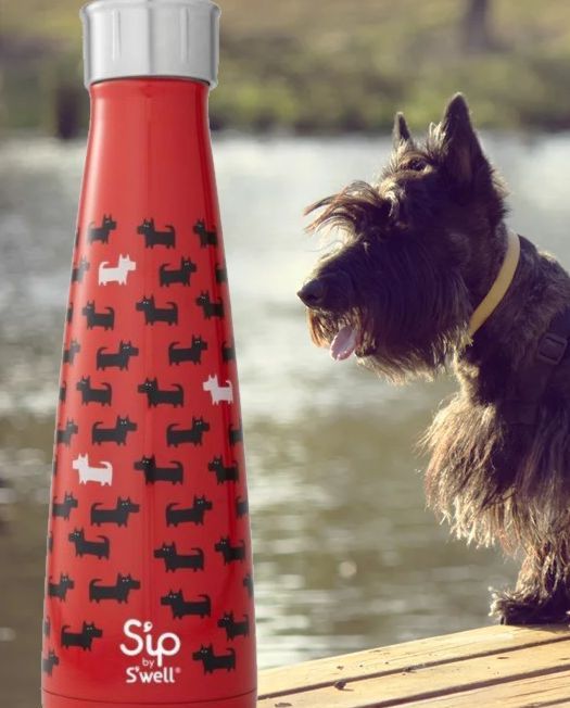 Swell Drinks Bottle - Savvy Scotties - 10Fl - Mood2