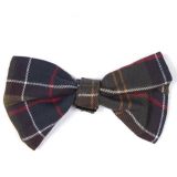 Barbour Doggie Bow Tie In Classic Green Tartan