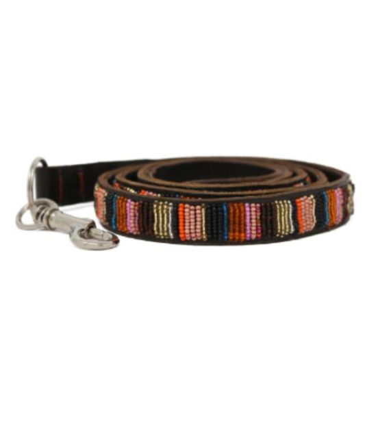 Aspiga Dog Lead - Autumn