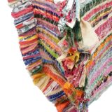 Tassles on Sari Bag